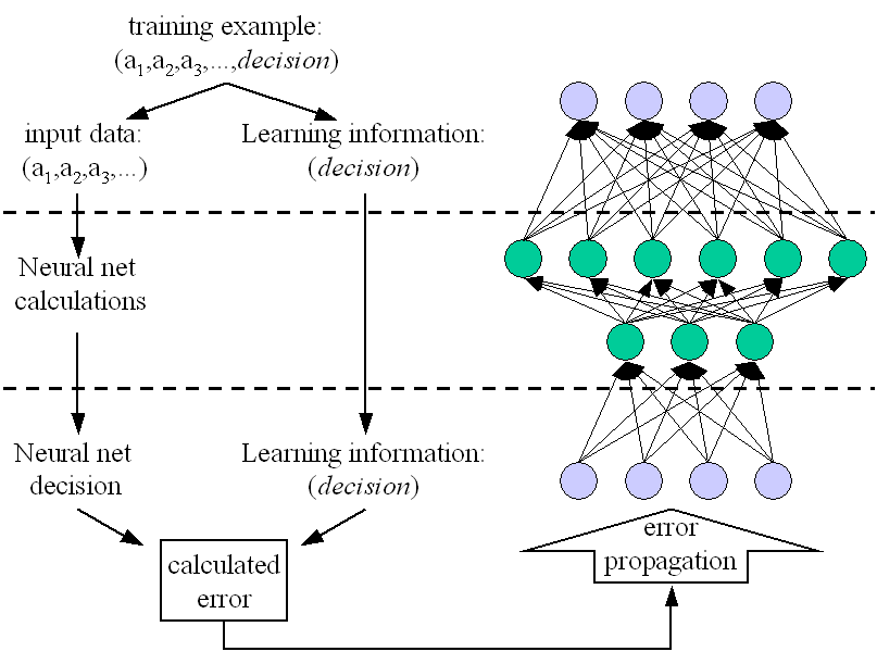 Backpropagation algorithm scheme